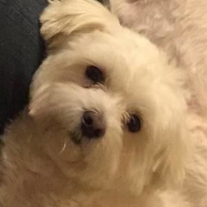 Meet your Posher, Wanda